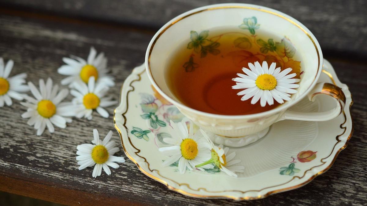 Manfaat Konsumsi Teh Chamomile untuk Kesehatan Pekerja